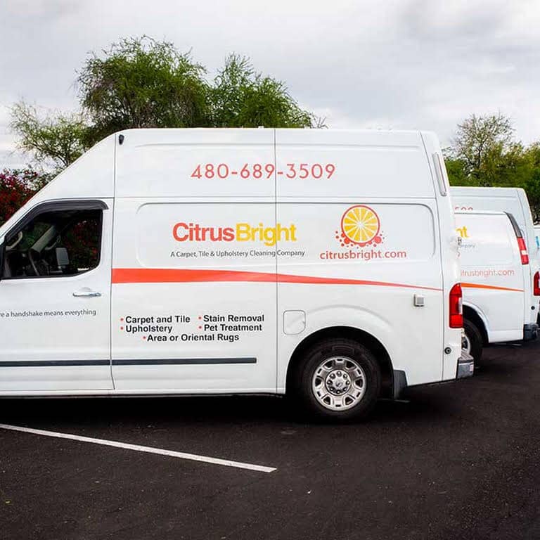 Citrus Bright Carpet Cleaning